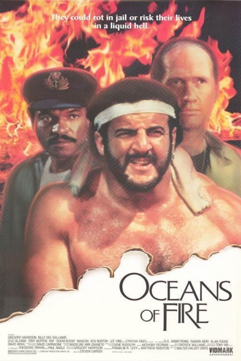 Oceans of Fi poster